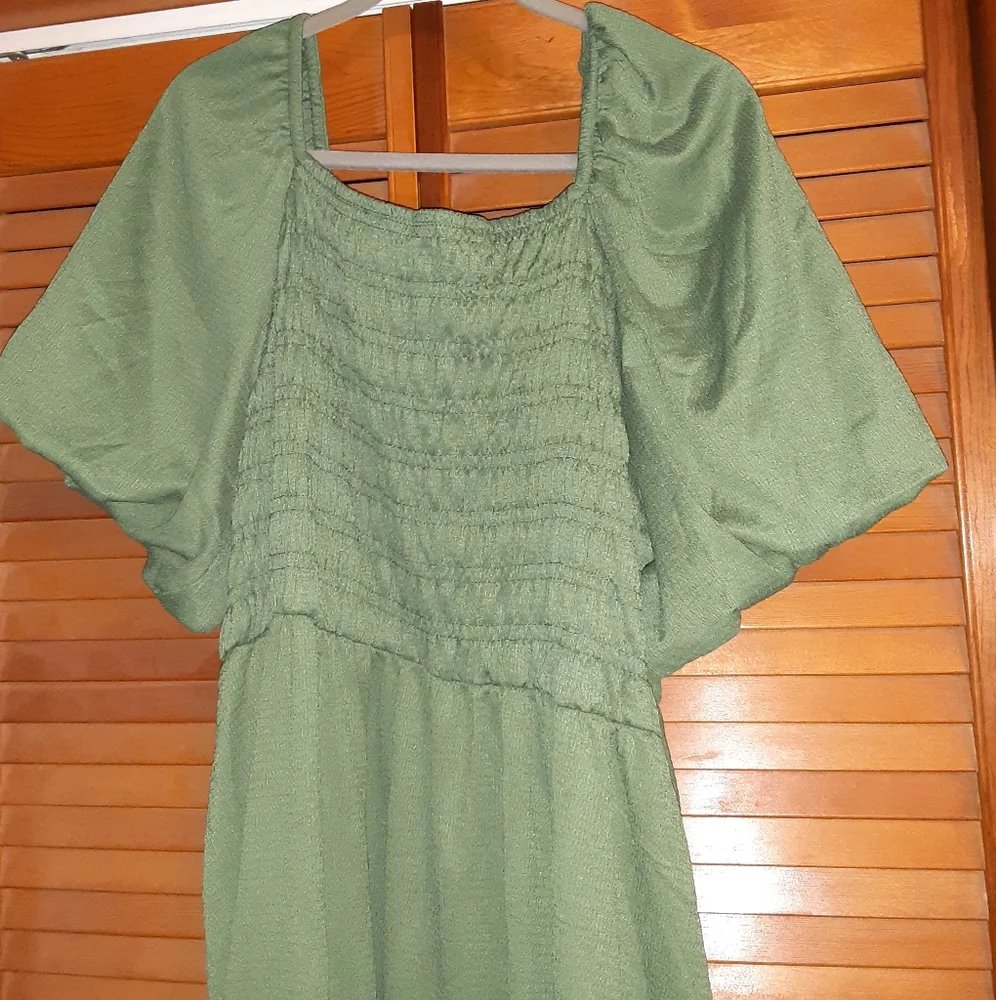 Lularoe Alina 3xl Sage Green Knee Length Dress Peasant style smocking - Picture 2 of 8
